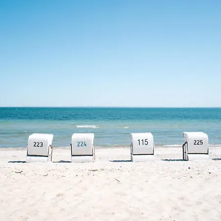 App 295 - Strandlage Daire *